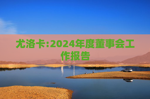 尤洛卡:2024年度董事会工作报告