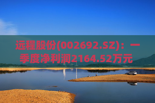 远程股份(002692.SZ)：一季度净利润2164.52万元 同比增长31.14%