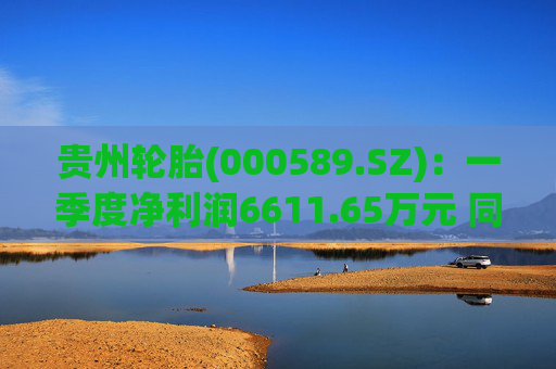 贵州轮胎(000589.SZ)：一季度净利润6611.65万元 同比减少68.13%