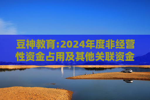 豆神教育:2024年度非经营性资金占用及其他关联资金往来情况汇总表