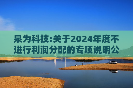 泉为科技:关于2024年度不进行利润分配的专项说明公告