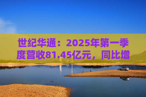 世纪华通：2025年第一季度营收81.45亿元，同比增长91.12%