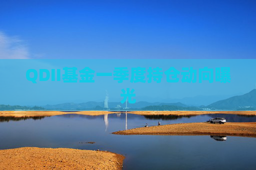 QDII基金一季度持仓动向曝光