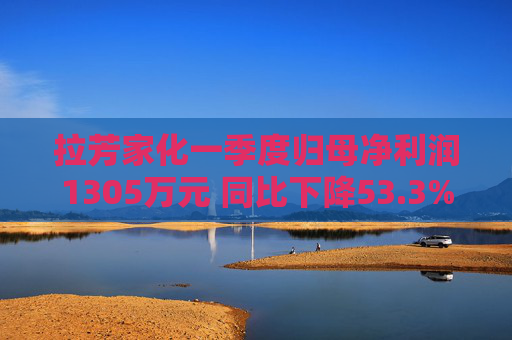 拉芳家化一季度归母净利润1305万元 同比下降53.3%