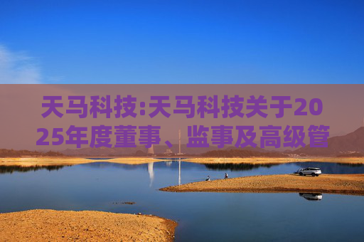 天马科技:天马科技关于2025年度董事、监事及高级管理人员薪酬方案的公告