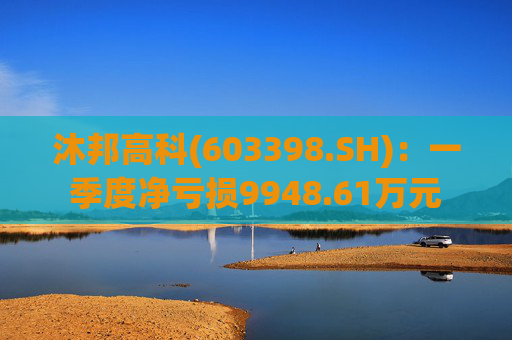 沐邦高科(603398.SH)：一季度净亏损9948.61万元