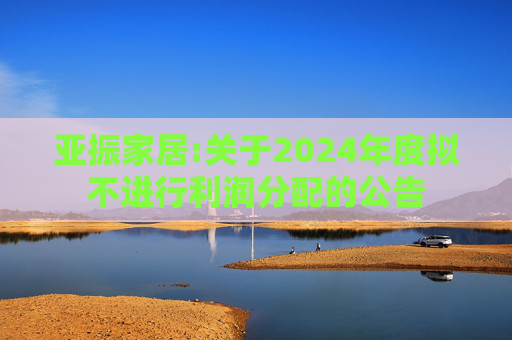 亚振家居:关于2024年度拟不进行利润分配的公告