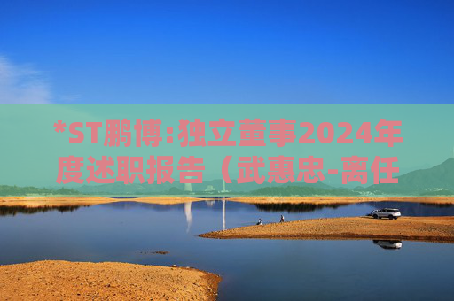 *ST鹏博:独立董事2024年度述职报告（武惠忠-离任）