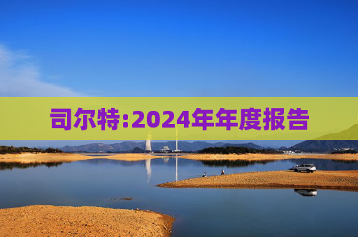 司尔特:2024年年度报告