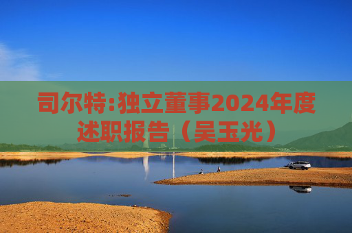 司尔特:独立董事2024年度述职报告（吴玉光）