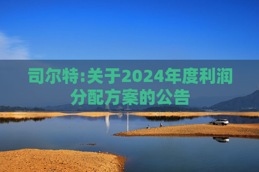司尔特:关于2024年度利润分配方案的公告