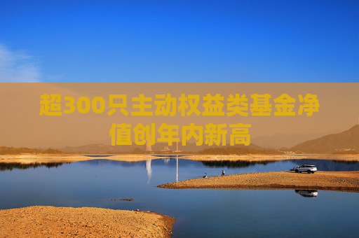 超300只主动权益类基金净值创年内新高