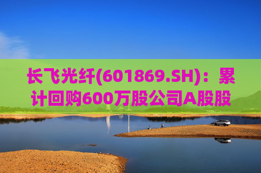 长飞光纤(601869.SH)：累计回购600万股公司A股股份