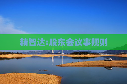 精智达:股东会议事规则  第1张