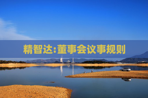 精智达:董事会议事规则