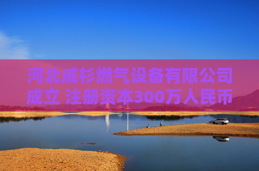 河北威杉燃气设备有限公司成立 注册资本300万人民币