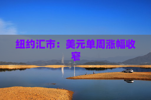 纽约汇市：美元单周涨幅收窄