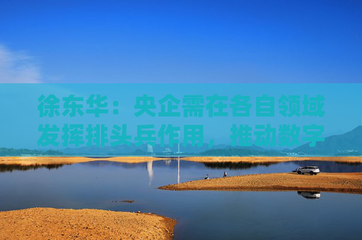 徐东华：央企需在各自领域发挥排头兵作用，推动数字化转型