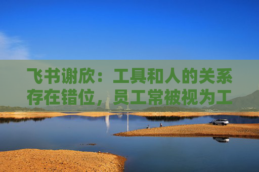 飞书谢欣：工具和人的关系存在错位，员工常被视为工具的附属