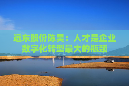 远东股份陈昊：人才是企业数字化转型最大的瓶颈