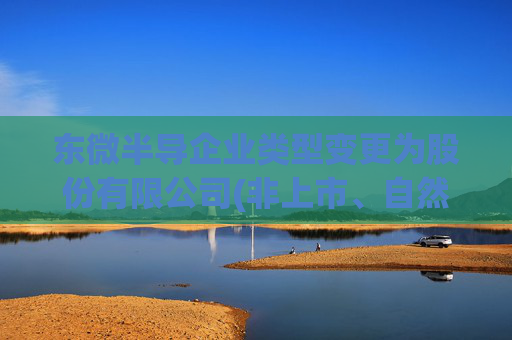 东微半导企业类型变更为股份有限公司(非上市、自然人投资或控股)