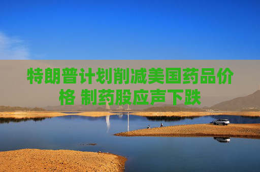 特朗普计划削减美国药品价格 制药股应声下跌