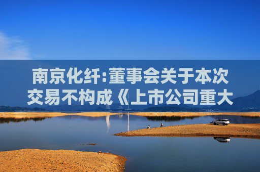 南京化纤:董事会关于本次交易不构成《上市公司重大资产重组管理办法》第十三条规定的重组上市情形的说明