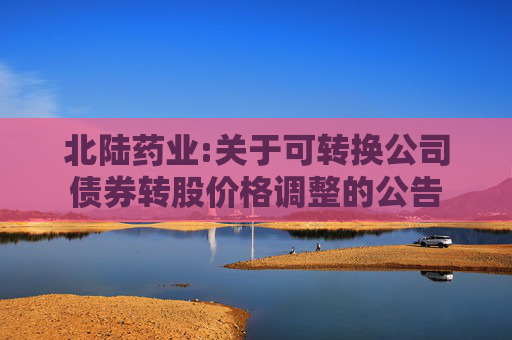 北陆药业:关于可转换公司债券转股价格调整的公告  第1张