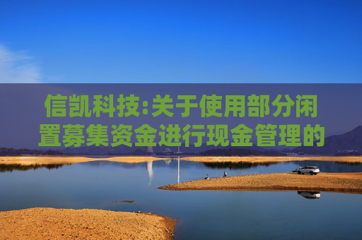 信凯科技:关于使用部分闲置募集资金进行现金管理的公告  第1张