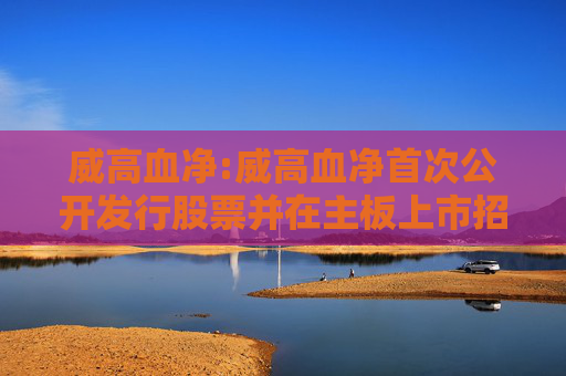 威高血净:威高血净首次公开发行股票并在主板上市招股说明书提示性公告