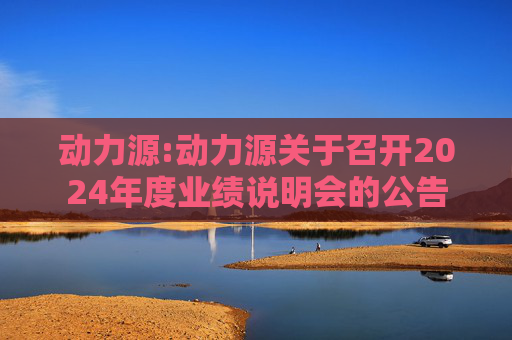 动力源:动力源关于召开2024年度业绩说明会的公告
