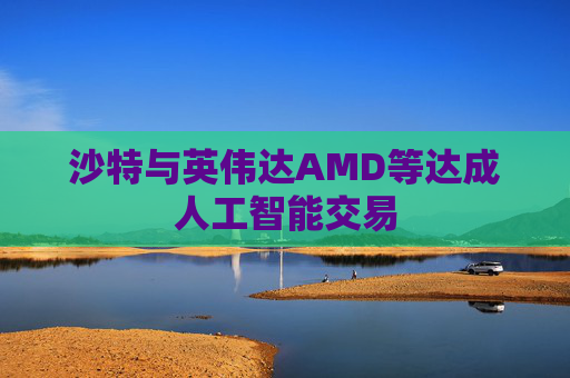 沙特与英伟达AMD等达成人工智能交易