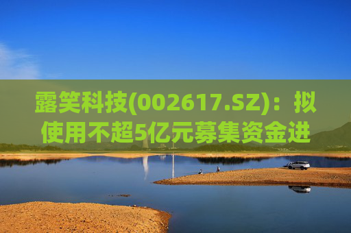 露笑科技(002617.SZ)：拟使用不超5亿元募集资金进行现金管理