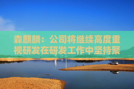 森麒麟：公司将继续高度重视研发在研发工作中坚持聚焦、高效、领先的原则加大研发投入