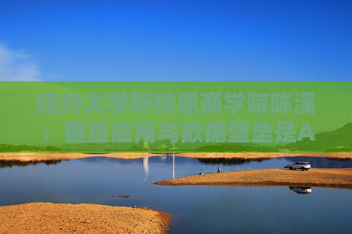 纽约大学斯特恩商学院陈溪：垂直应用与数据壁垒是AI投资的关键