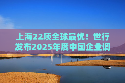 上海22项全球最优！世行发布2025年度中国企业调查报告