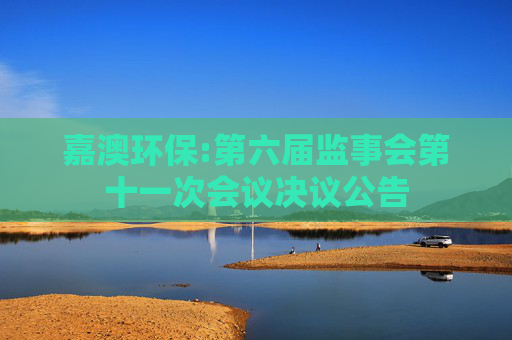 嘉澳环保:第六届监事会第十一次会议决议公告