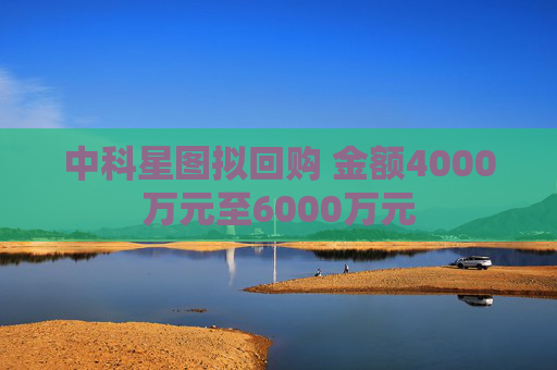 中科星图拟回购 金额4000万元至6000万元
