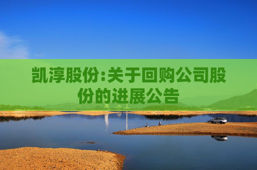 凯淳股份:关于回购公司股份的进展公告  第1张