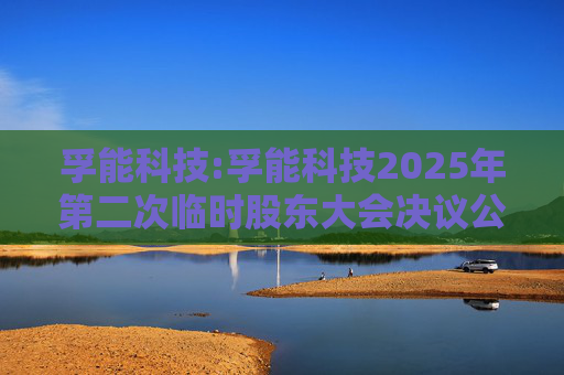 孚能科技:孚能科技2025年第二次临时股东大会决议公告