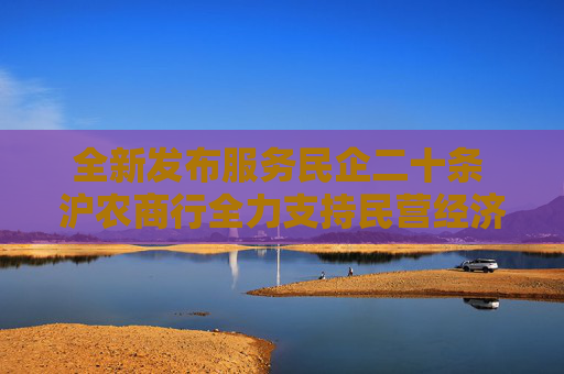 全新发布服务民企二十条 沪农商行全力支持民营经济做优做强