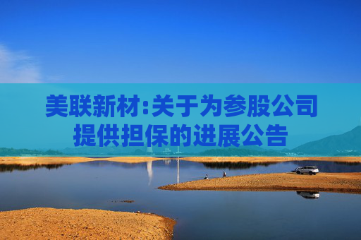 美联新材:关于为参股公司提供担保的进展公告