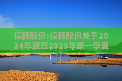 福鞍股份:福鞍股份关于2024年度暨2025年第一季度业绩说明会召开情况的公告