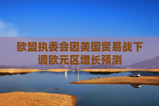 欧盟执委会因美国贸易战下调欧元区增长预测