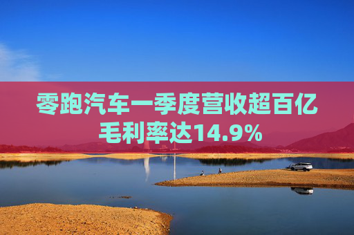 零跑汽车一季度营收超百亿 毛利率达14.9%  第1张