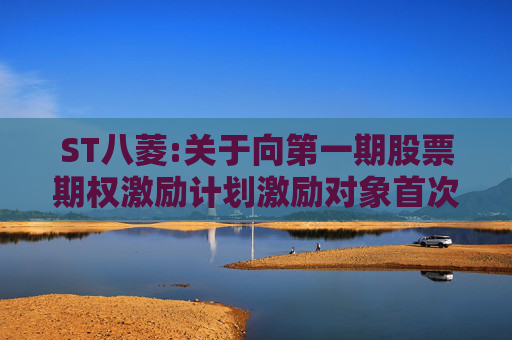 ST八菱:关于向第一期股票期权激励计划激励对象首次授予股票期权的公告
