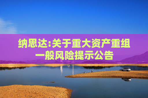 纳思达:关于重大资产重组一般风险提示公告