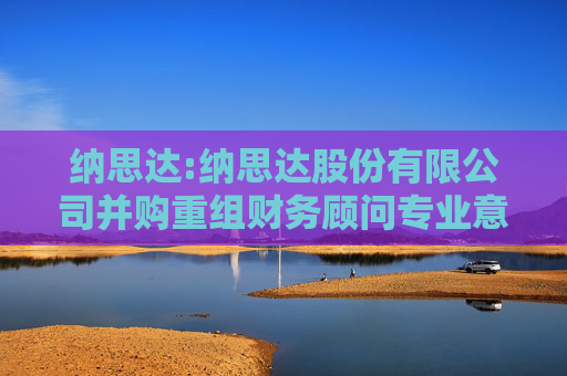 纳思达:纳思达股份有限公司并购重组财务顾问专业意见附表第2号――重大资产重组