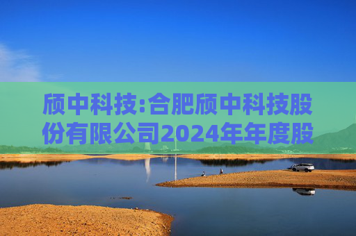 颀中科技:合肥颀中科技股份有限公司2024年年度股东大会决议公告