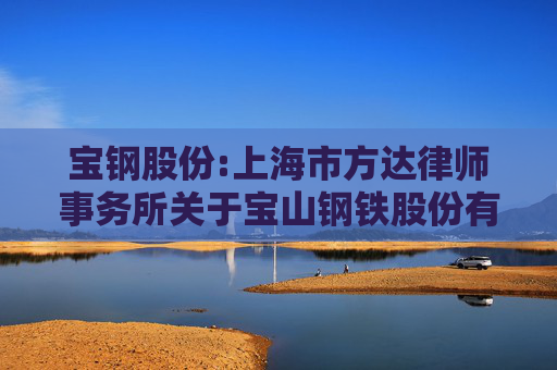 宝钢股份:上海市方达律师事务所关于宝山钢铁股份有限公司2024年度股东大会之法律意见书